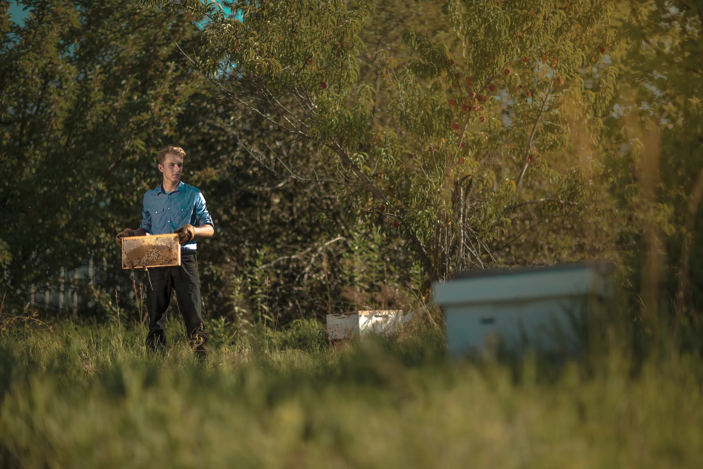 A person holding a wooden frame standing in a sunlit grassy field next to a white beehive box.